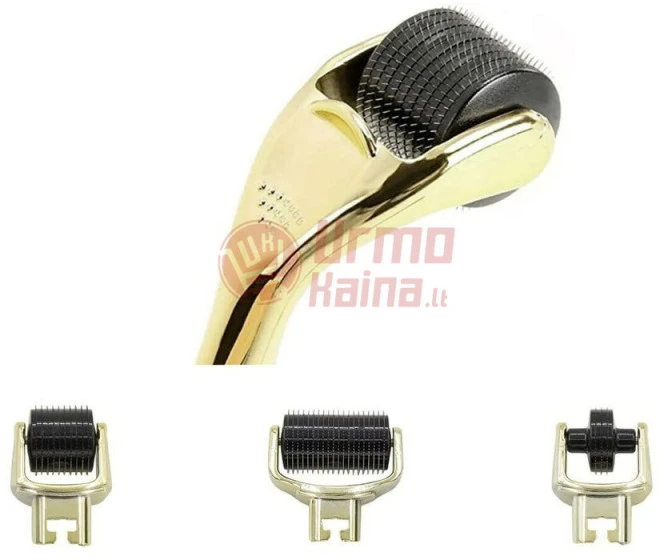 Adatinis volelis mezoterapijai Derma Roller 3in1 DR01