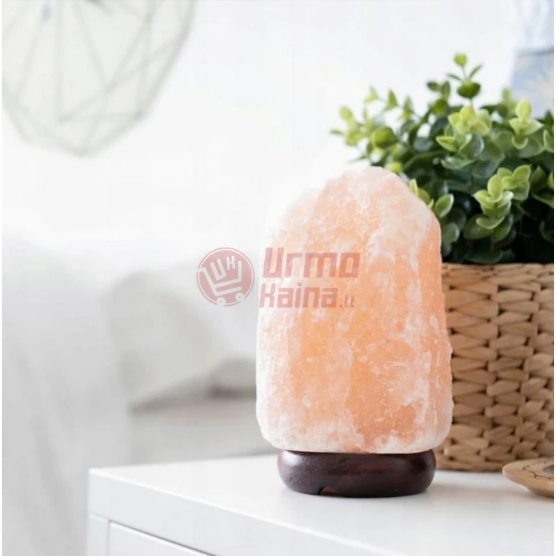 Druskos lempa 2–3kg V8
