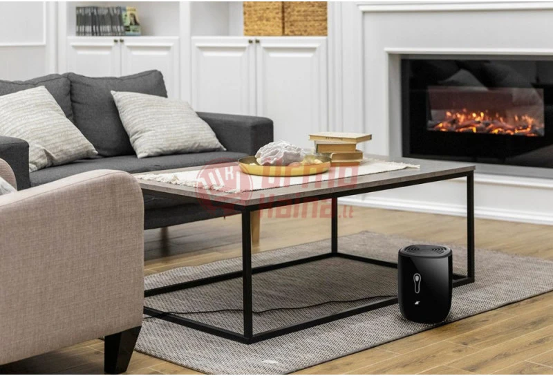 Elektrinis oro sausintuvas - drėgmės surinkėjas 225 W MT16406