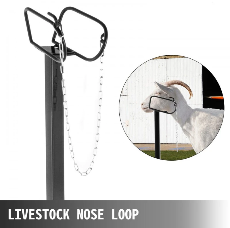 Galvijų ir ožkų kirpimo stovas su tiesiu galvos laikikliu 130x58 cm metalinis rėmas juodas