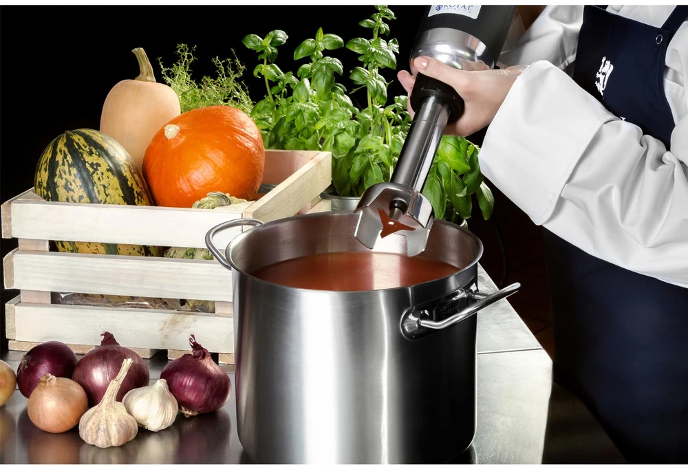 Maišytuvas blenderis 350W 230V Royal Catering sidabro/juoda