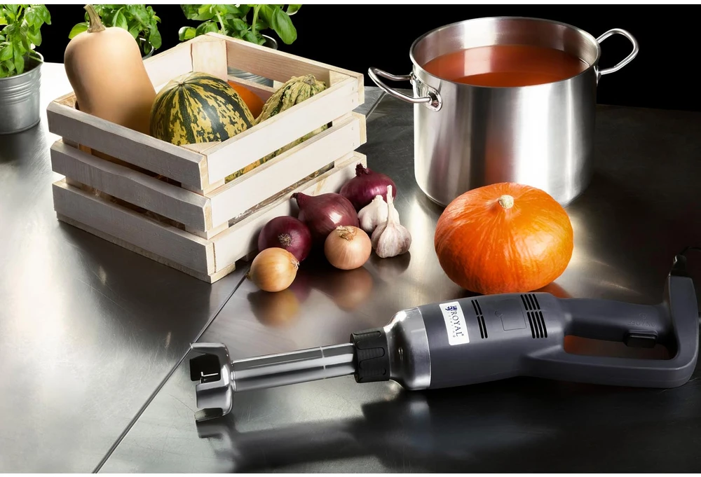 Maišytuvas blenderis 350W 230V Royal Catering sidabro/juoda