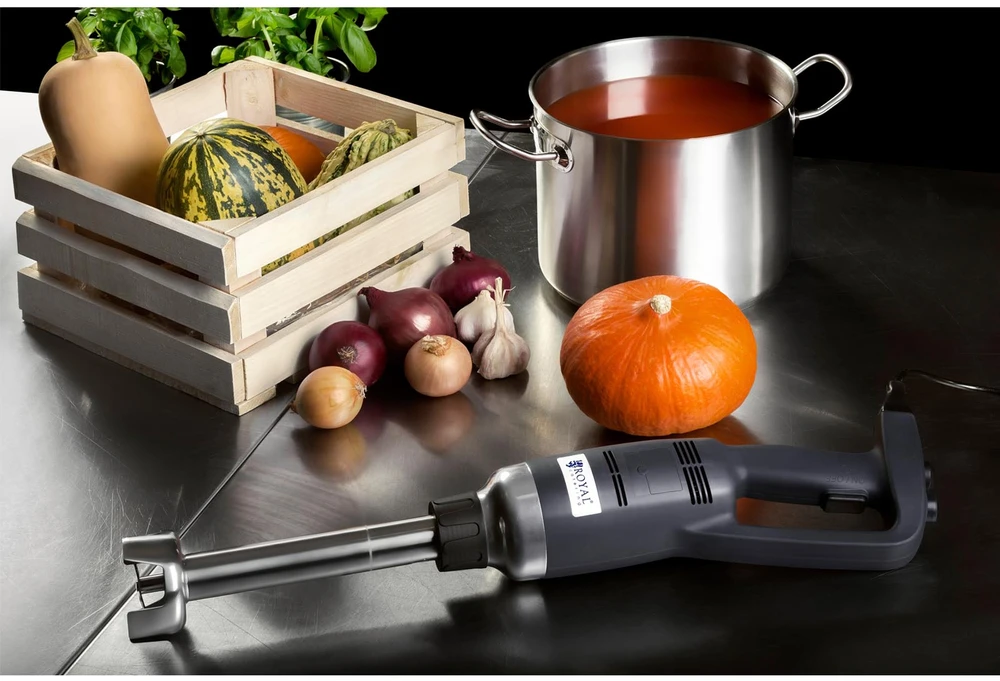 Maišytuvas blenderis 500W 230V sidabro/juoda