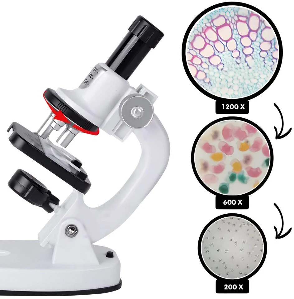 Mikroskopas NanoScope N12 BERIMAX skaitmeninis 1200x