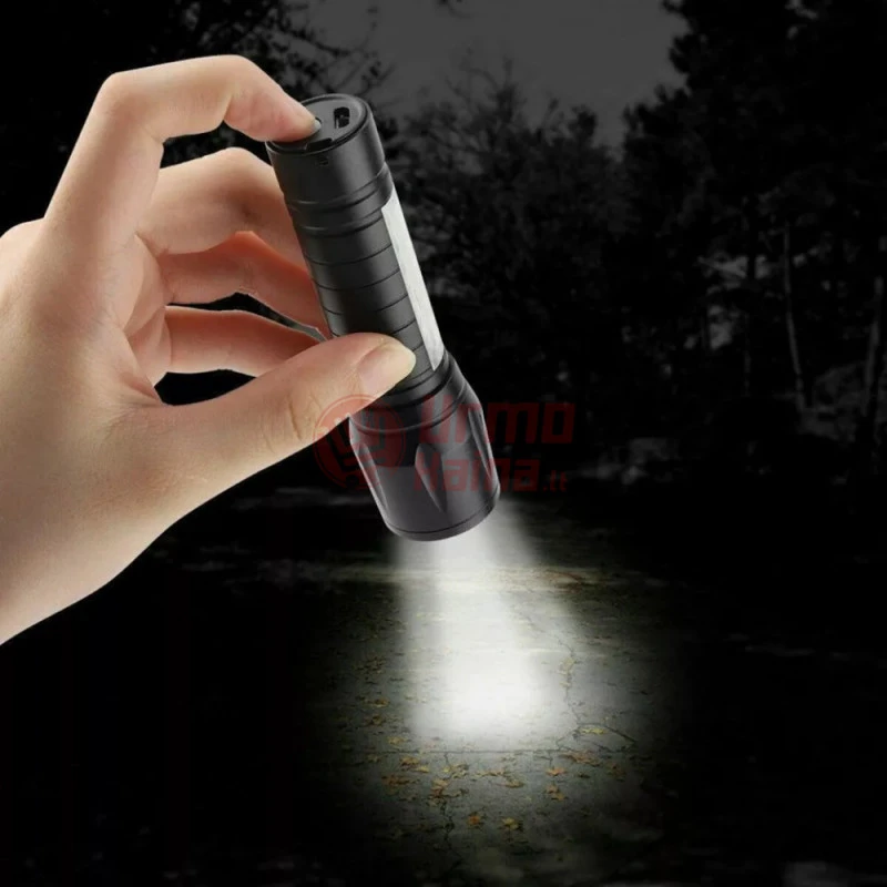 Mini prožektorius 2 in 1