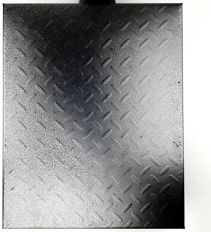 Platforminės svarstyklės HS 3002BMFM (300 kg 50x40)