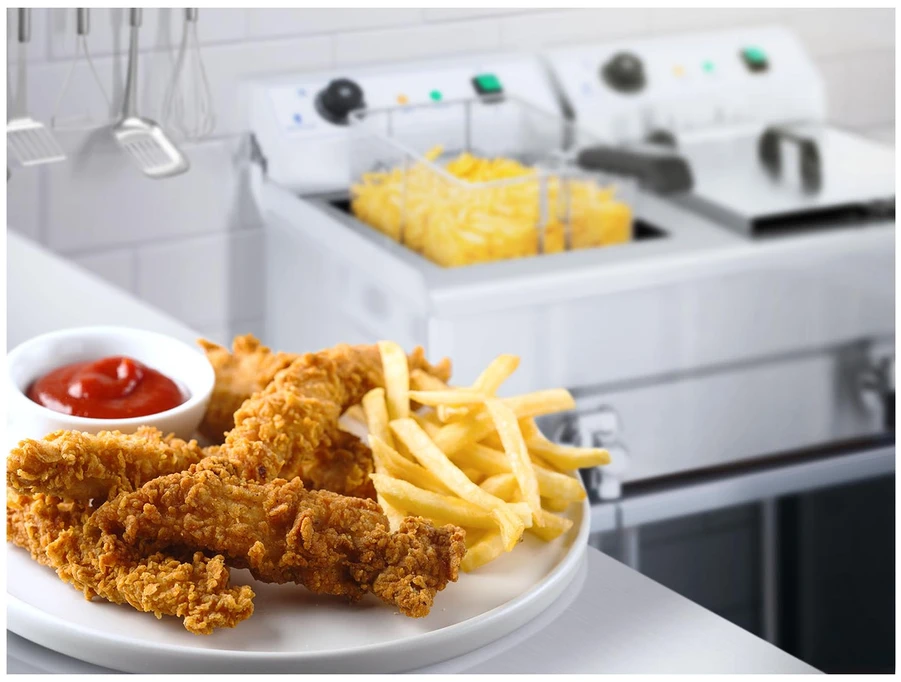 Profesionalaus naudojimo gruzdintuvė Dviejų kamerų gastronominė gruzdintuvė 230V 2x16L nerūdijantis plienas