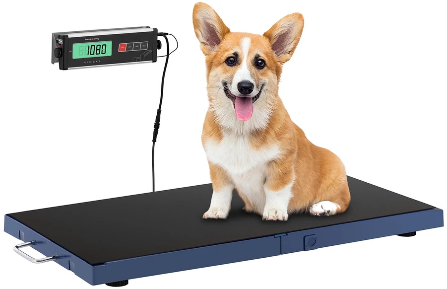 Virtuvinės svarstyklės Veterinarinės svarstyklės gyvūnams 965 x 51 cm 180 kg / 50 g