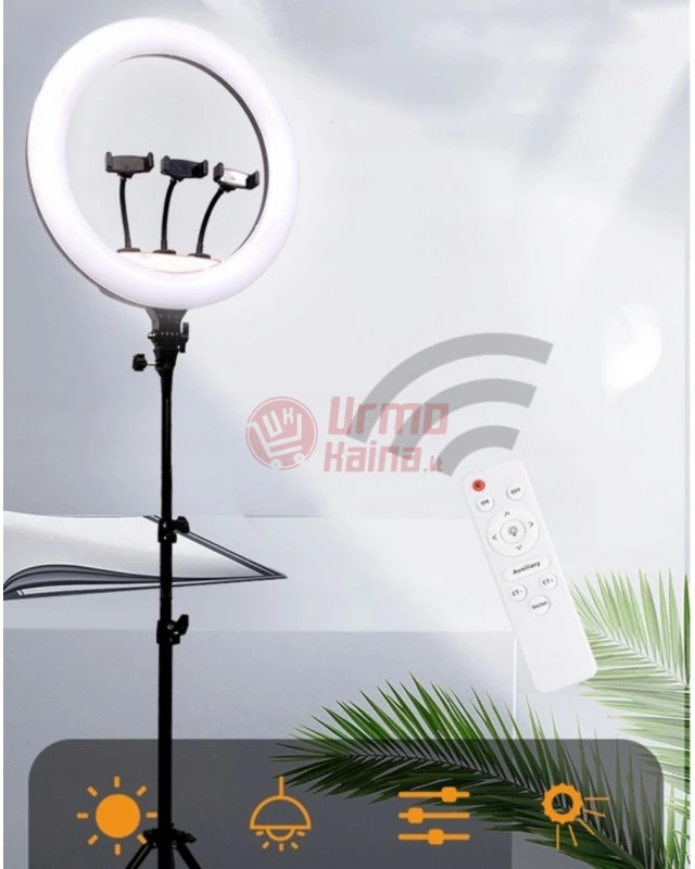Žiedinė LED lempa LS45 240 W PT