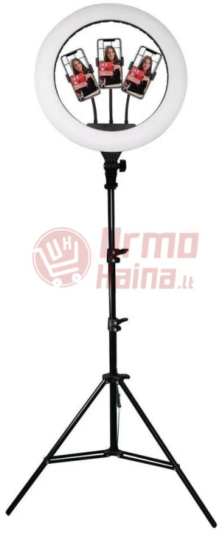 Žiedinė LED lempa LS45 LJJ 300 W PT