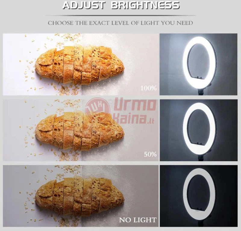 Žiedinė LED lempa LS45 LJJ 300 W PT