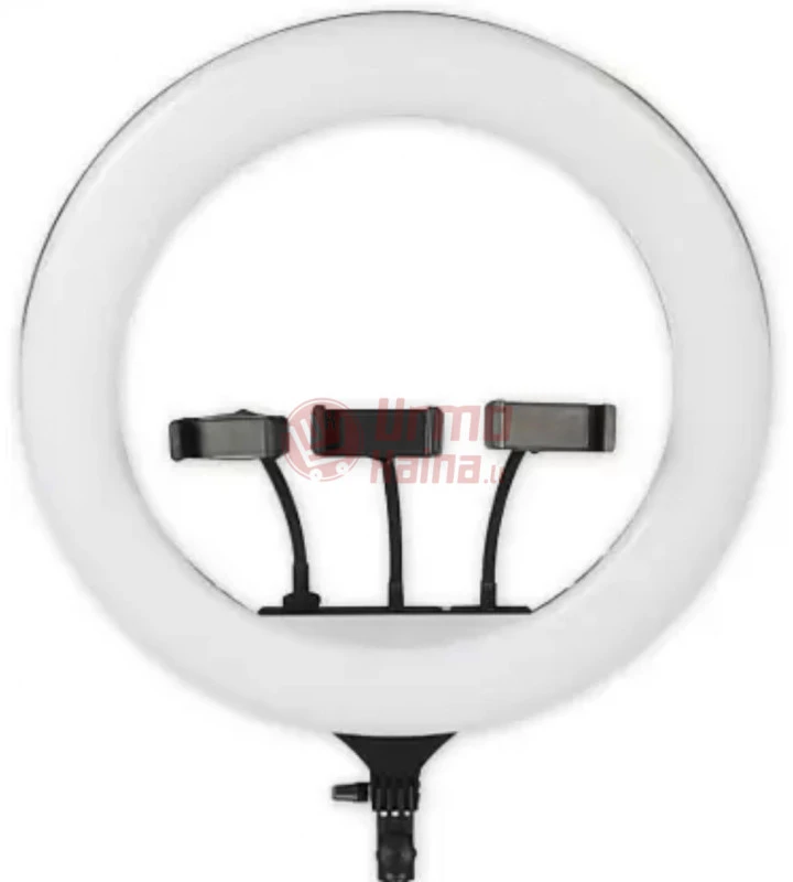 Žiedinė LED lempa LS45 LJJ 300 W PT