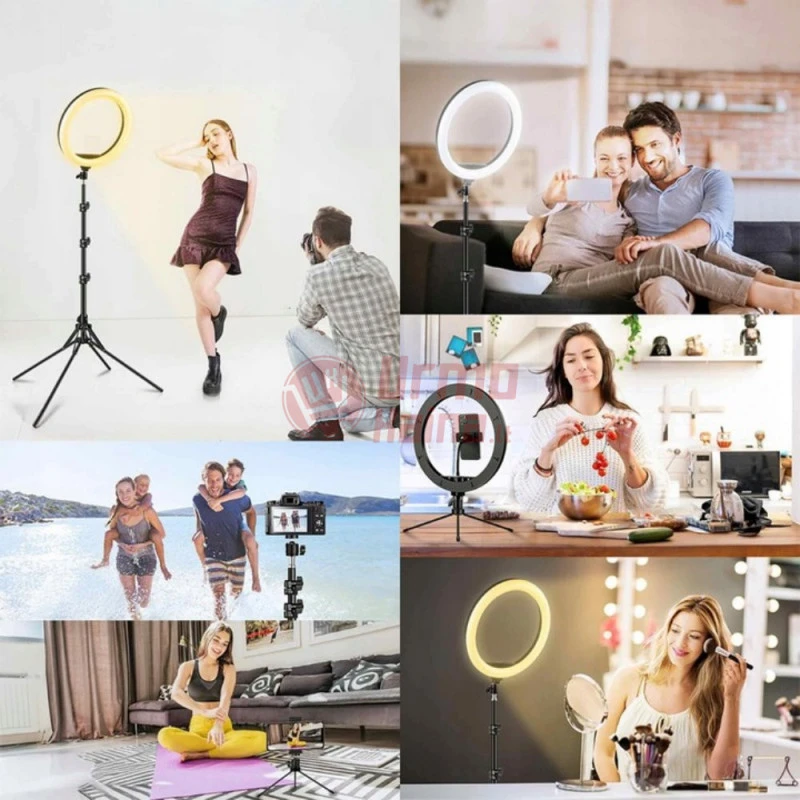 Žiedinė LED lempa RF LS43 240W PT