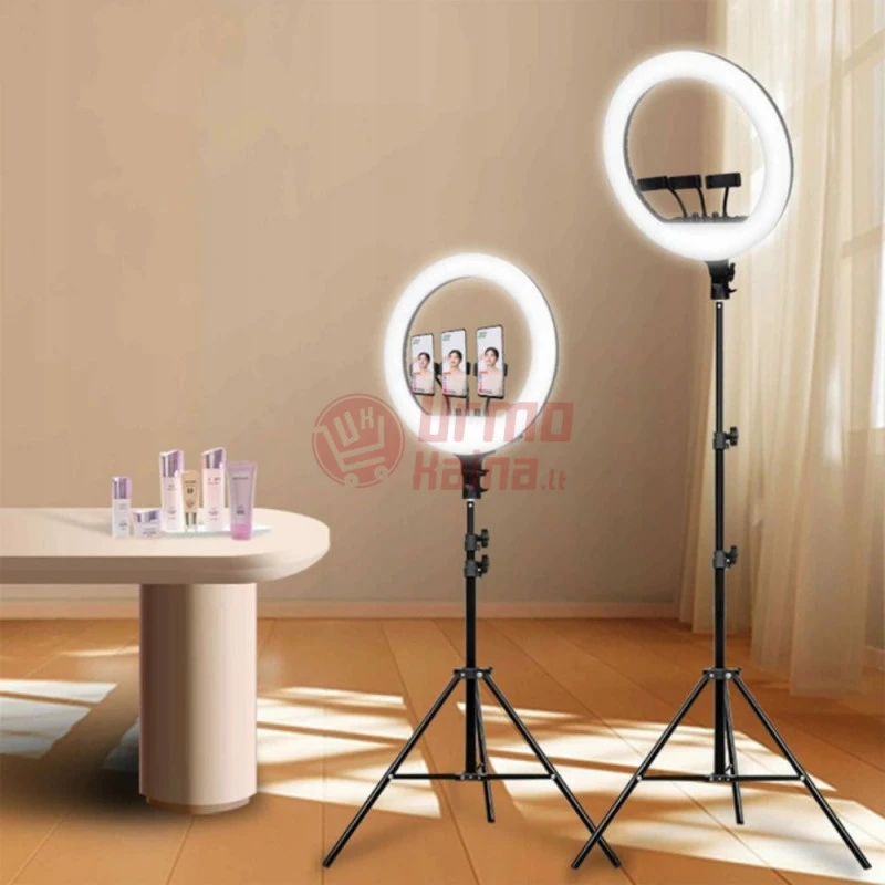 Žiedinė LED lempa RF LS43 240W PT