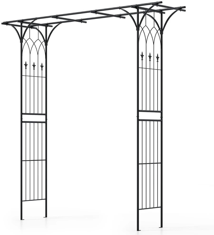 Promotion Metalinė rožių arka 205x52x206 cm juoda