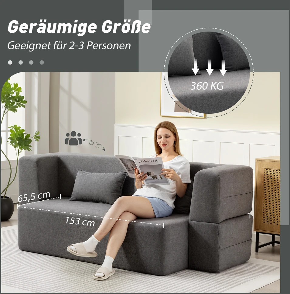 Aosom 2 vietų sofa-lova, putų užpildas, pilka, 360 kg