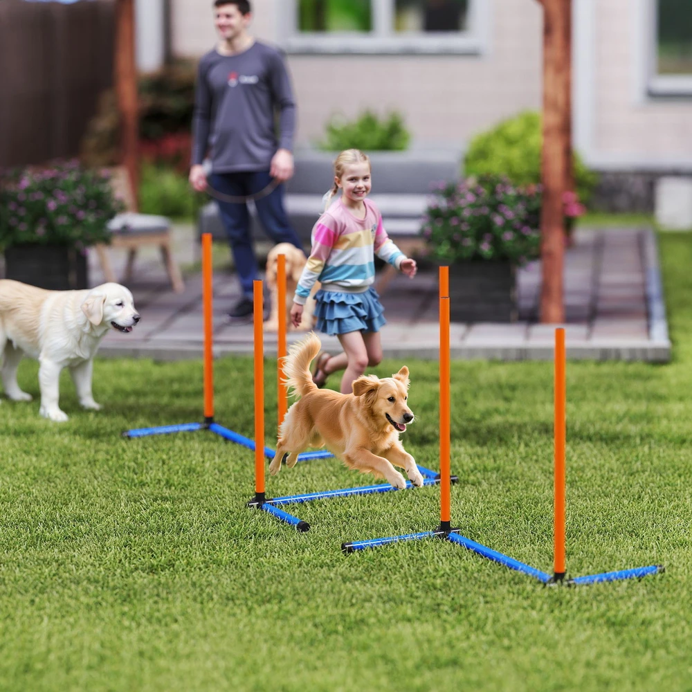 Aosom 3 dalių šunų agility rinkinys, oranžinė, mėlyna, juoda, 65 x 64 x 69 cm