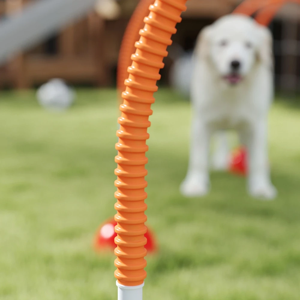 Aosom 4 dalių šunų agility treniruočių rinkinys su 4 vartais, reguliuojamas plotis, nešiojimo krepšys, mėlyna