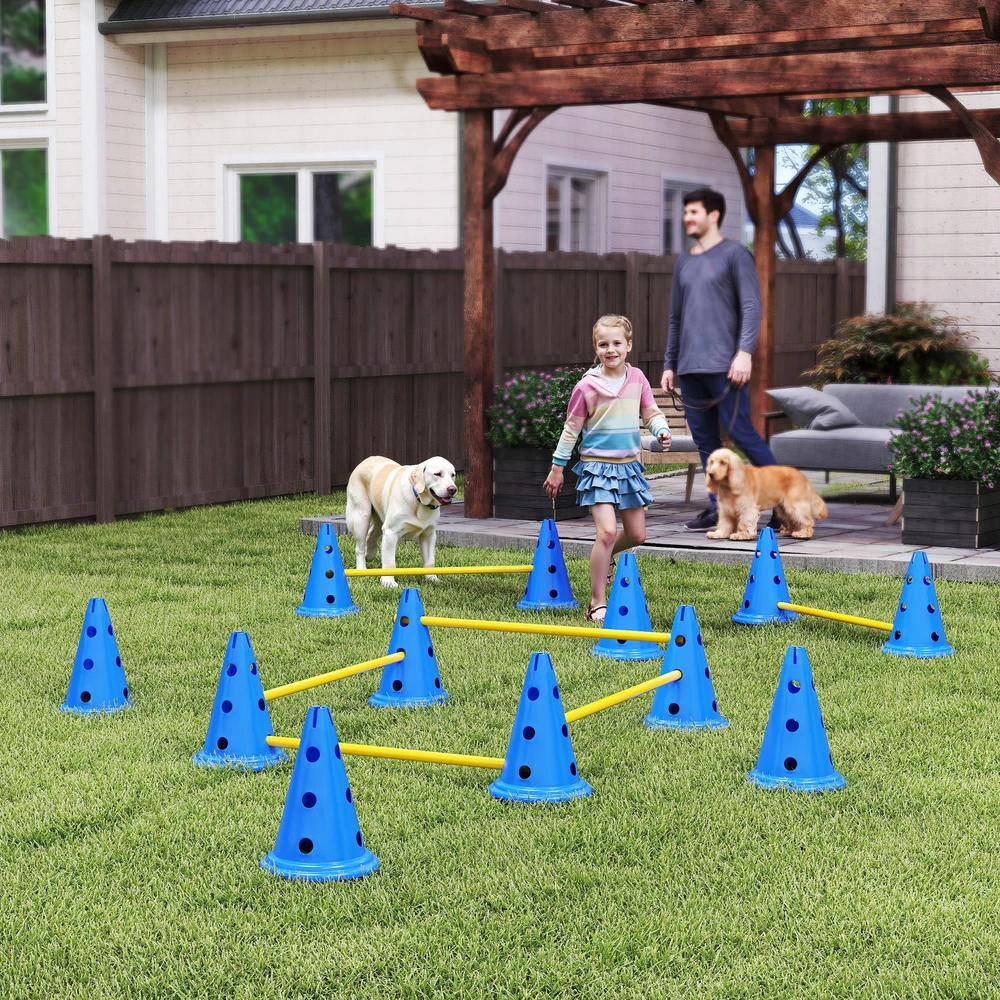 Aosom 6 dalių šunų agility kliūčių rinkinys, mėlyna / geltona, plastikas, 80 x 22,5 x 30 cm