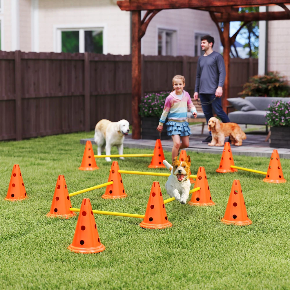 Aosom 6 dalių šunų agility kliūčių rinkinys, oranžinė / geltona, ABS, PE