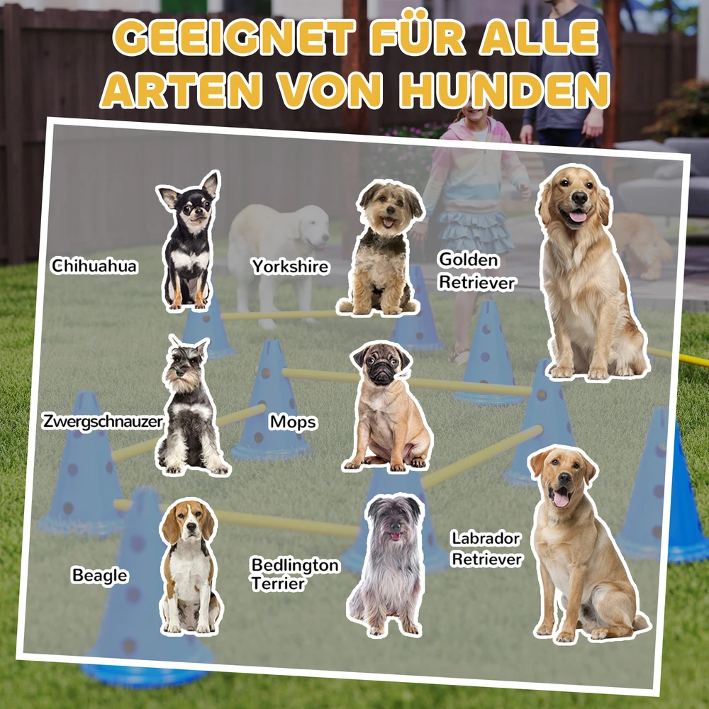 Aosom 6 dalių šunų agility kliūčių rinkinys, mėlyna / geltona, plastikas, 80 x 22,5 x 30 cm