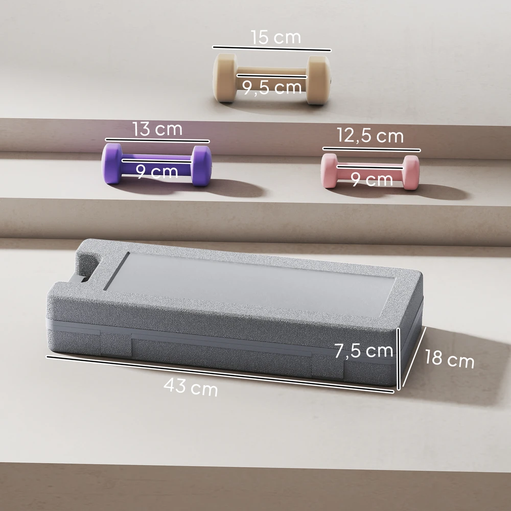 Aosom 6 vnt. hantelių rinkinys su dėklu, rožinė, violetinė, ruda, 0,5kg, 1kg, 1,5kg
