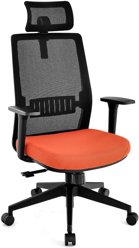 Promotion Ergonomiška biuro kėdė su juosmens atrama juoda