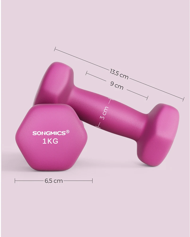 Koduva Hantelių rinkinys, 2 vnt., rožinis, ketaus su neopreno danga, 2 x 1kg, 13,5 x 6,5 cm