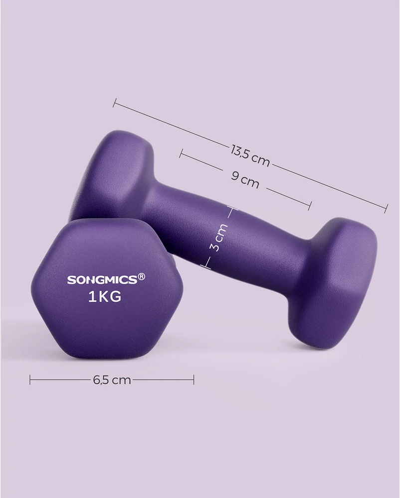 Koduva Hantelių rinkinys, 2 vnt., violetinis, ketaus su neopreno danga, 2 x 1kg