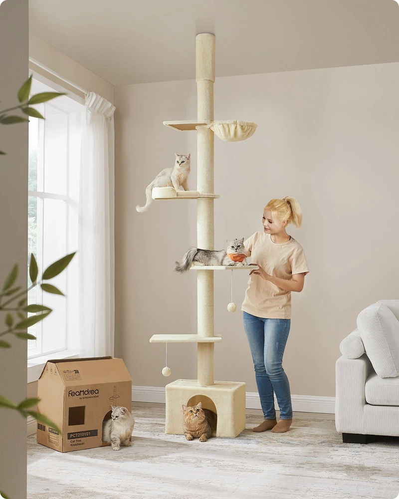 Koduva Iki lubų kačių draskyklė, reguliuojamo aukščio 231–291 cm, smėlio spalvos