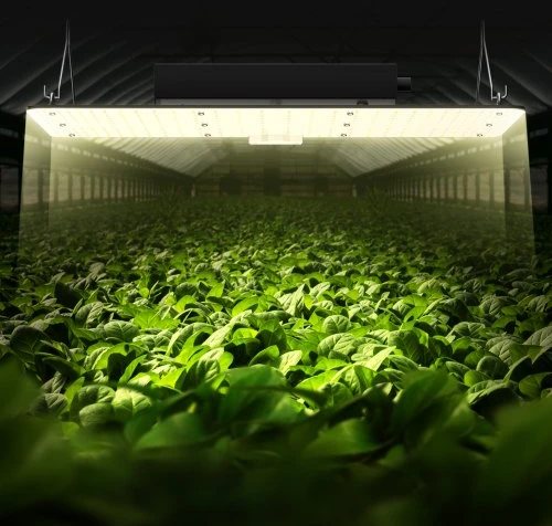 VEVOR LED augalų lempa 200W PGL-G1, pilno spektro, reguliuojama, aliuminis, 30 x 60 x 12 cm