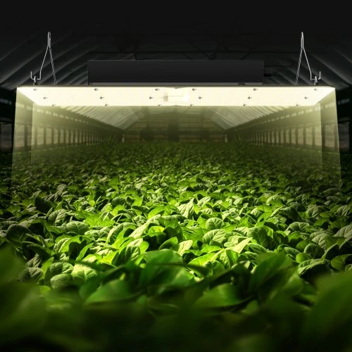 Koduva LED augalų lempa VEVOR, 300 W, pilno spektro, reguliuojama, aliuminis, 40 x 60 x 12 cm