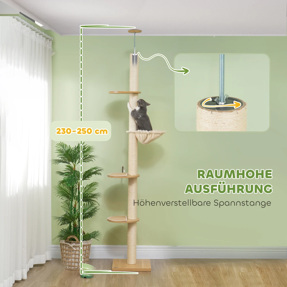 Koduva Lubas siekiantis draskyklės medis katei, 230-250 cm, ąžuolo ir kreminės baltos spalvos