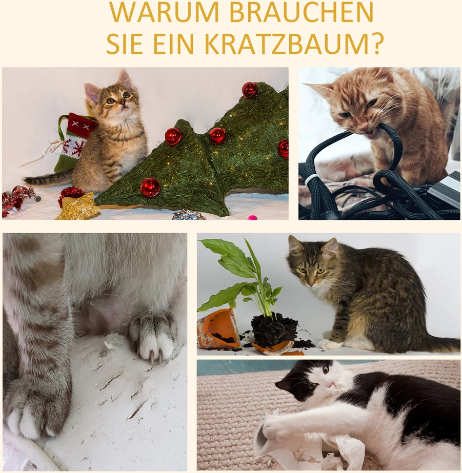 Koduva Nuo grindų iki lubų tvirtinamas kačių draskyklės bokštas, šviesiai rudas, 228-260 cm