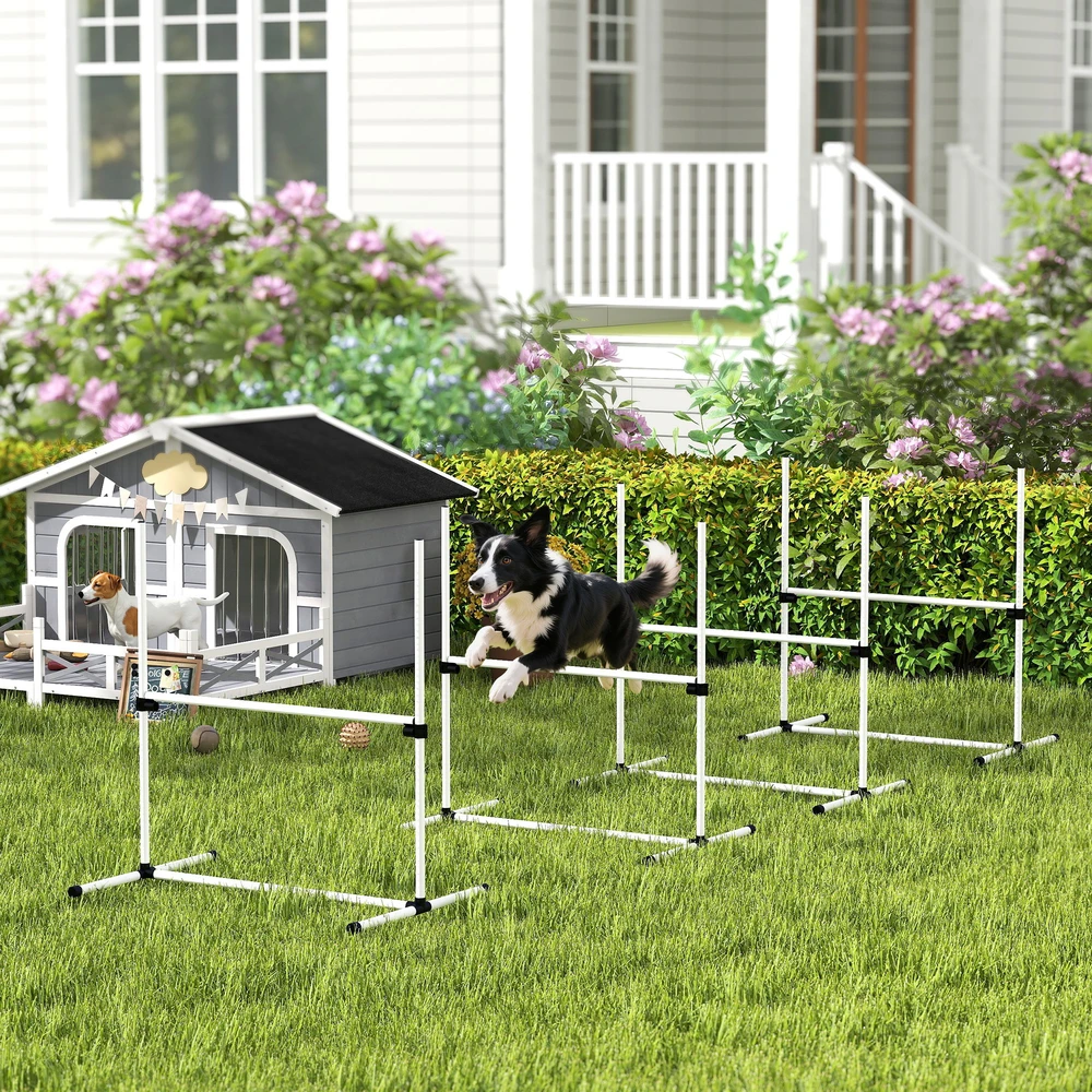Aosom Reguliuojamas šunų agility kliūčių komplektas, 4 vnt., su krepšiu