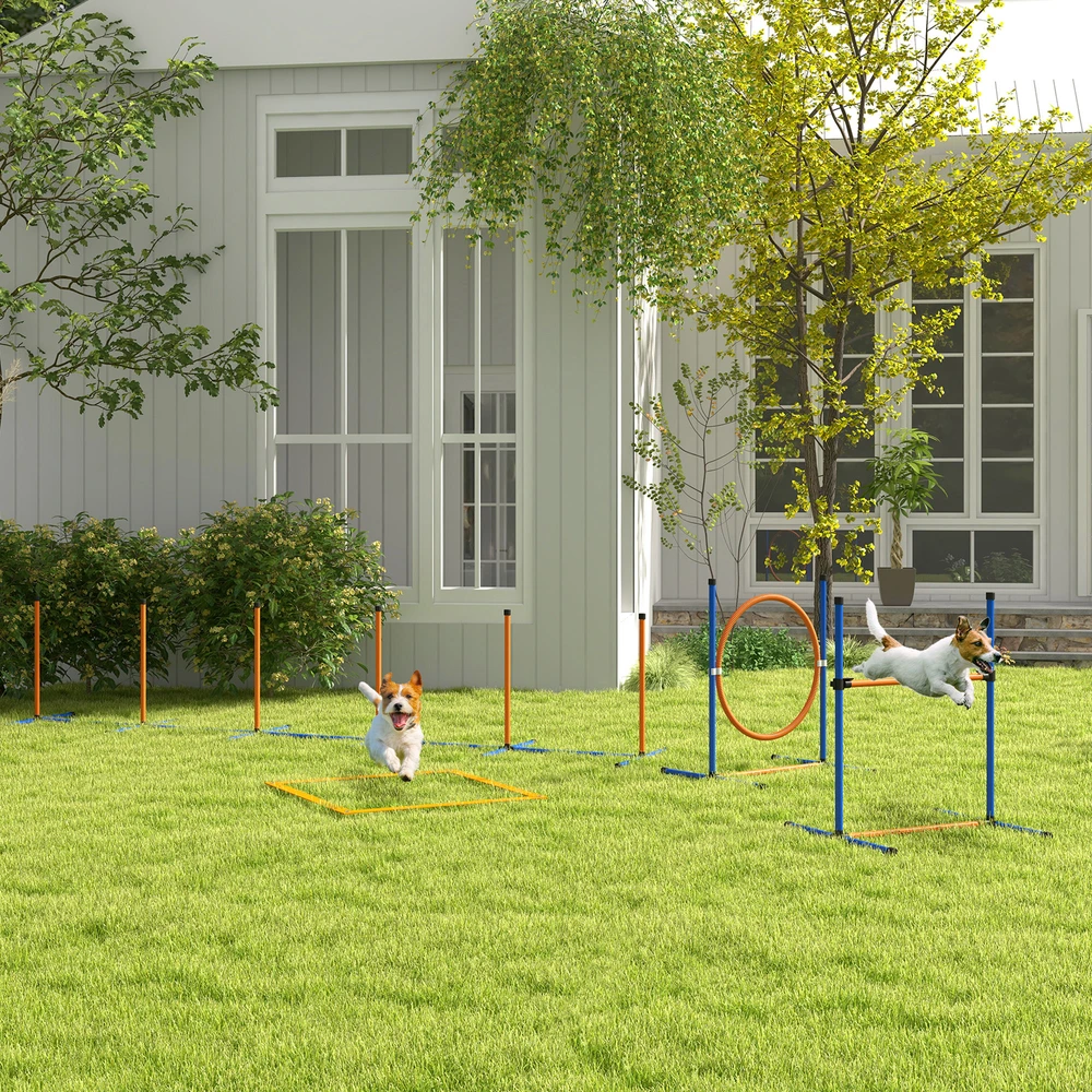 Aosom Šunų agility rinkinys, 7 dalių, oranžinė + mėlyna, 352 x 66 x 69 cm