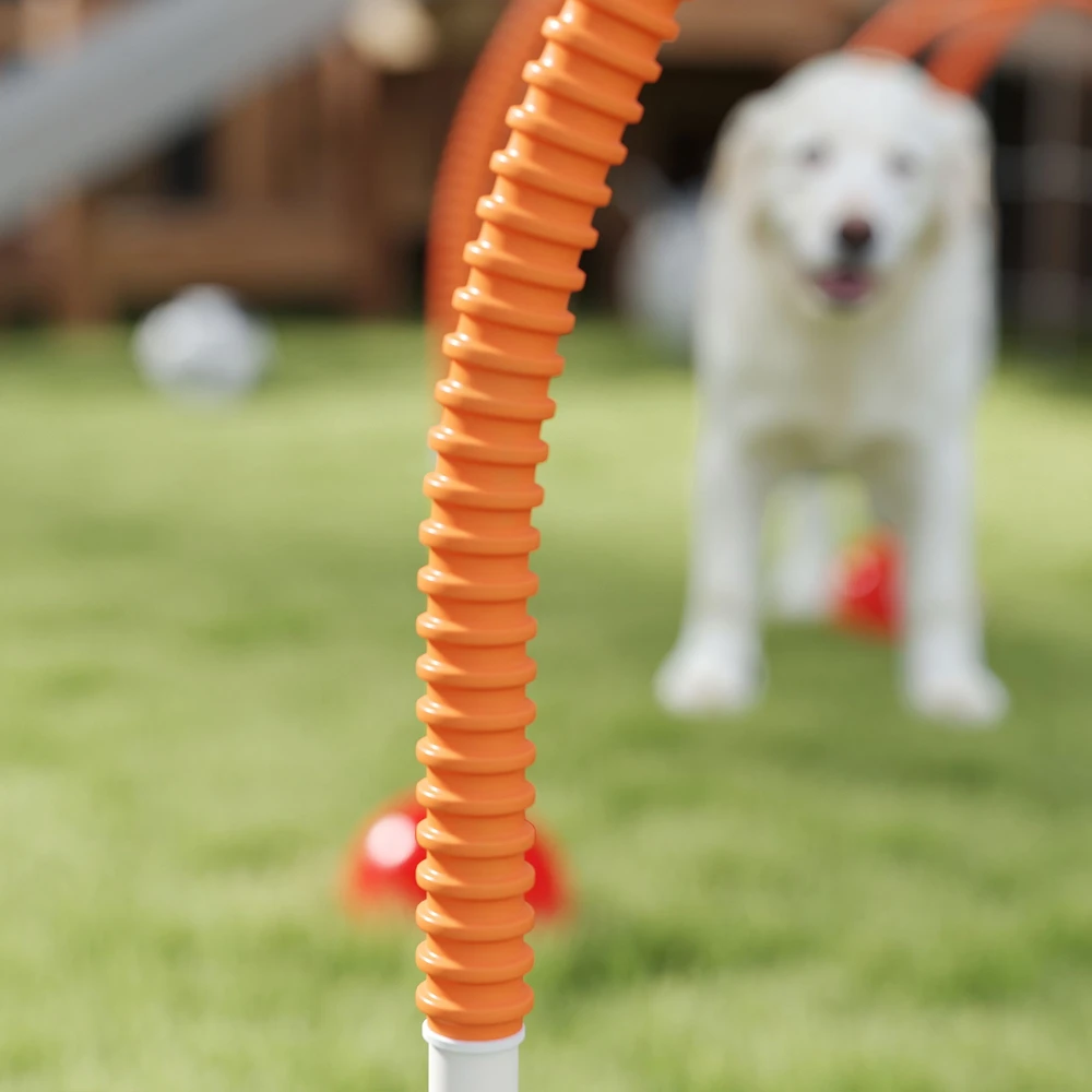Aosom Šunų agility treniruočių rinkinys, 5 dalių, oranžinis ir geltonas, 100 x 19,5 x 95 cm