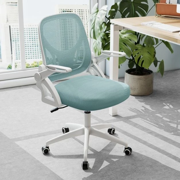 Promotion Tinklelis ergonomiška biuro kėdė su juosmens atrama, mėlyna