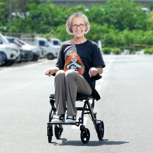 VEVOR Aliuminio lydinio transportavimo vežimėlis, sulankstomas, 40 cm sėdynė