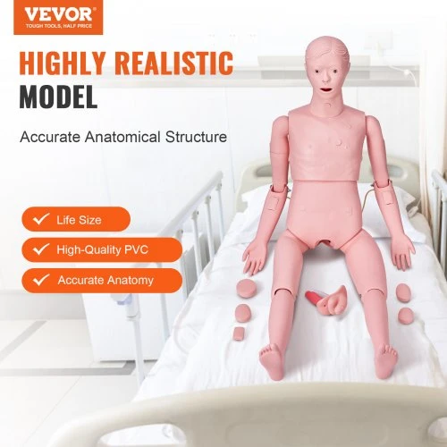 VEVOR Slaugos mokomasis manekenas, vyriškas, natūralaus dydžio, PVC anatomijos modelis