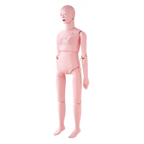 VEVOR Slaugos mokymo manekenas, moteriškas, natūralaus dydžio, PVC anatomijos modelis