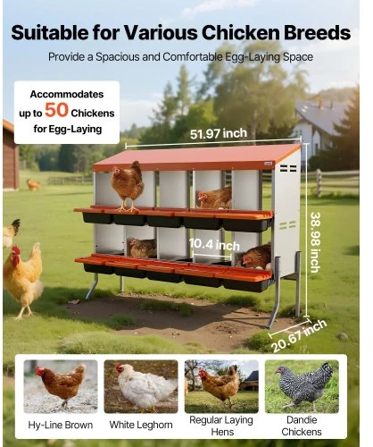 Koduva Vištų lizdinė dėžė VEVOR, 10 skyrių, su atraminėmis kojomis, cinkuotas plienas ir PP plastikas, oranžinė, 132 x 53 x 99 cm