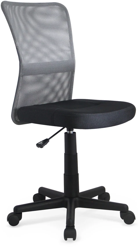 DINGO chair color: pilkas/juodas