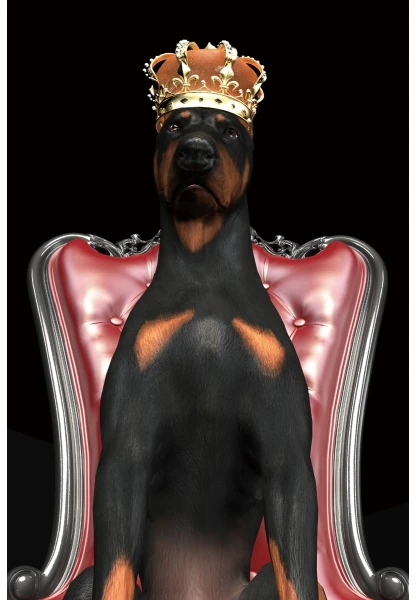 Signal Meble Paveikslas DOG IN CROWN, 80x120 cm