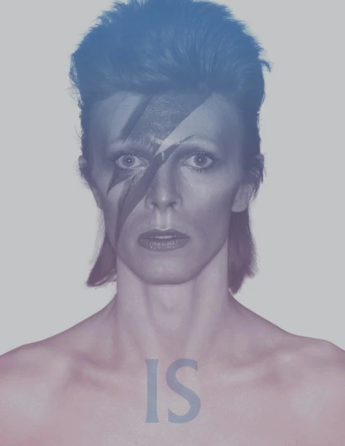KNYGA Victoria Broackes David Bowie Is