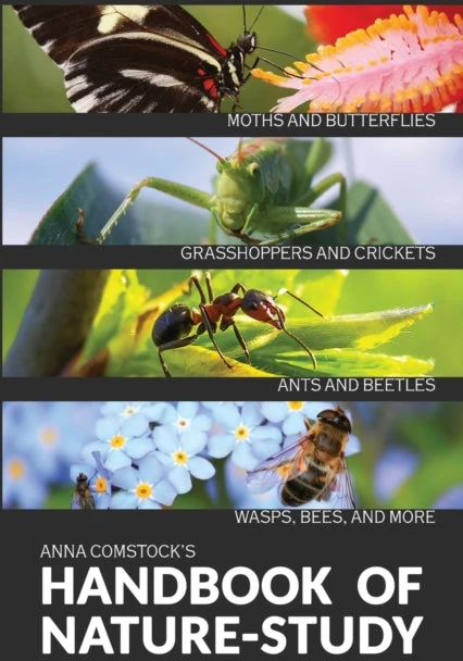 KNYGA Bookshop Handbook Of Nature Study in Color - Insects