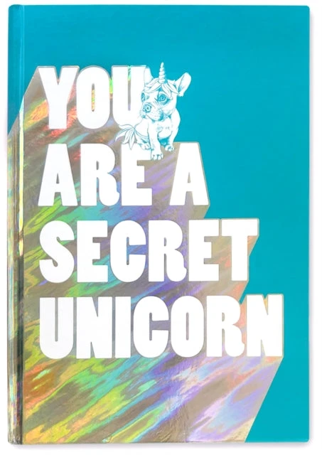 KNYGA Bookshop You Are a Secret Unicorn
