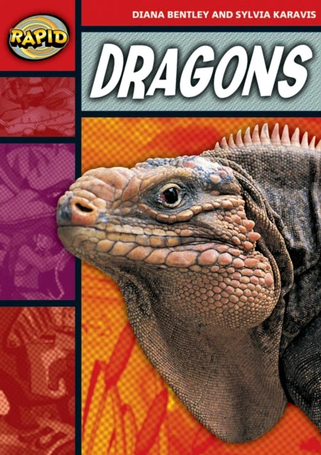 KNYGA Diana Bentley Rapid Reading: Dragons (Stage 2, Level 2B)