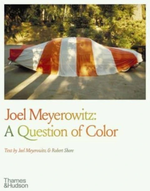 KNYGA Joel Meyerowitz: A Question of Color