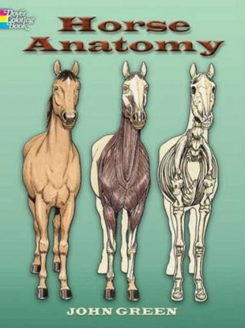 KNYGA John Horse Anatomy Coloring Book
